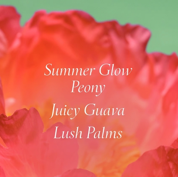 VS ROLLERBALL - Picture 2 of 6